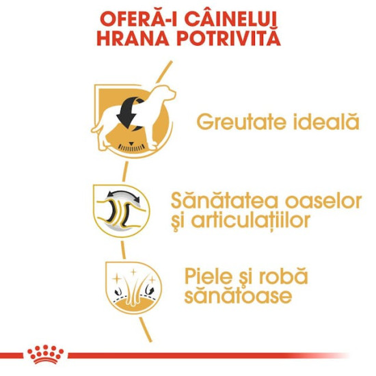 Royal Canin Labrador Retriever Adult – Hrană Uscată pentru Câini Adulți din Rasa Labrador Retriever – 12 kg